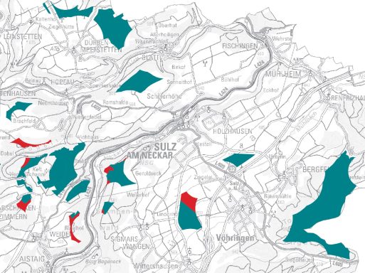 Regionalplanung Gebietsübersicht Auszug Bereich Sulz am Neckar